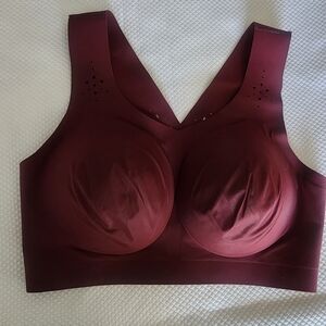 Evelyn And Bobbie Seamless Berry Burgundy Bra Newvwithout Tags